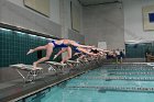 Swimming vs Babson  Wheaton College Swimming vs Babson College. - Photo By: KEITH NORDSTROM : Wheaton, Swimming, Babson